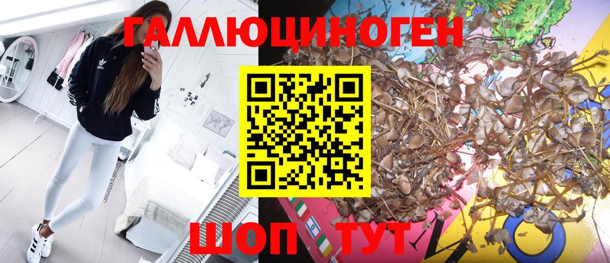 Галлюциногенные грибы Magic Shrooms Шали